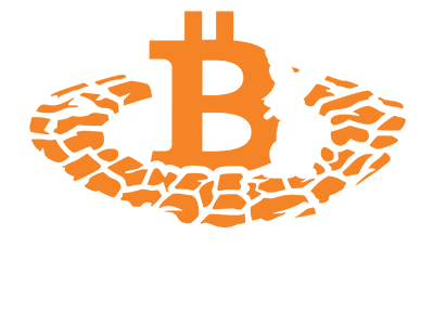 The Bitcoin Rabbit Hole