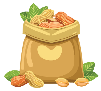 bag of peanuts