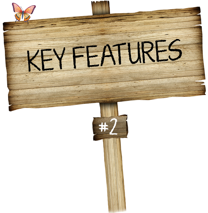 wooden sign with Key Features written on it